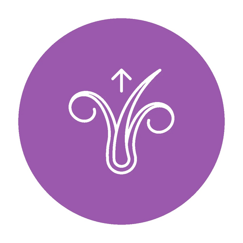 haare-faqicon-wachstum-o.webp