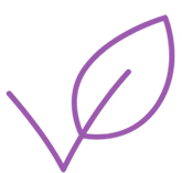 haare-quality-vegan-o.webp