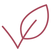 harnweg-quality-vegan.webp