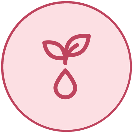 pms-timeline-3.webp