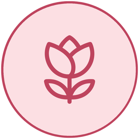 pms-timeline-6.webp